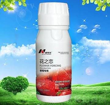 花之戀草莓專用-諾可豐