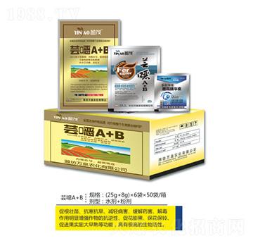 �|�fA+B-�f(w��n)Ȫ�r(n��ng)��