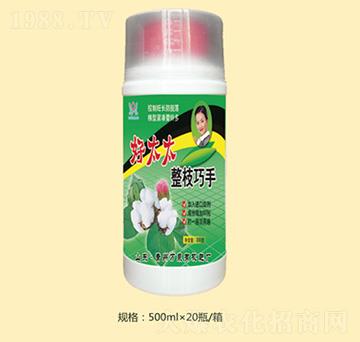 ��̫̫��֦����-�f(w��n)Ȫ�r(n��ng)��