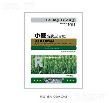 С�����ķ����-�fȪ�r(n��ng)��