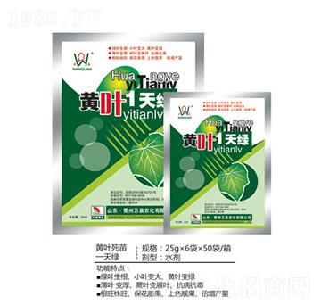 �S�~1��G-�fȪ�r��