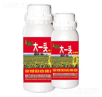 向日葵專用-大一頭-農(nóng)翁樂