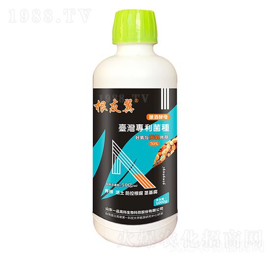 1000g根友翼-百農(nóng)思達1