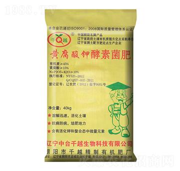 黃腐酸鉀酵素菌肥-千越生物