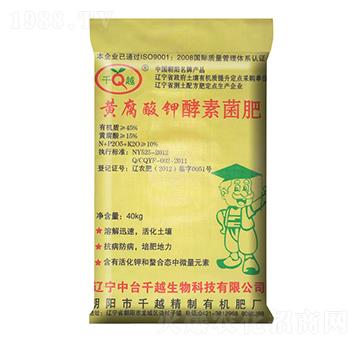 �S����⛽��ؾ���-ǧԽ����