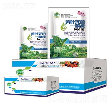 �S�~����һ���G-��@���S-���S�ʘI(y��)