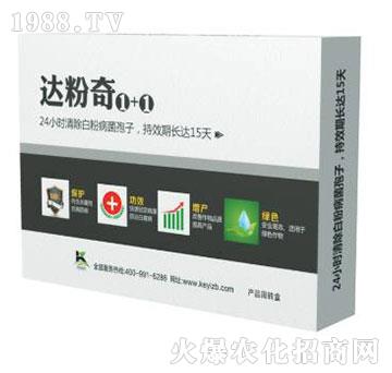 �_(d��)����1+1-����ֲ��