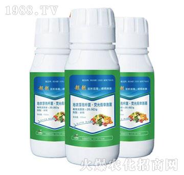 地衣芽孢桿菌·熒光假單胞菌-超越-柯易植保