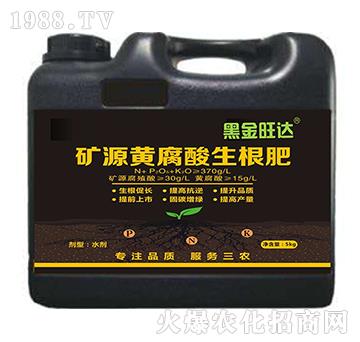 礦源黃腐酸生根肥-黑金旺達-復(fù)寶作物