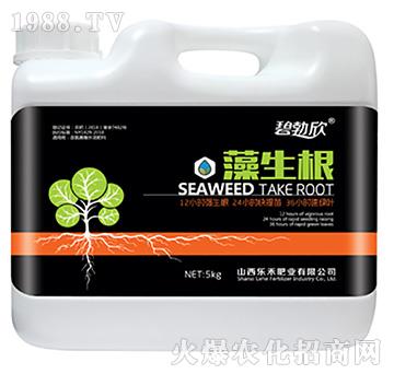 藻生根-樂(lè)禾