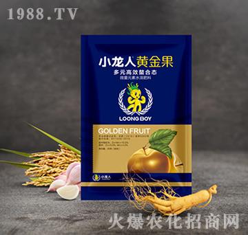 小龍人黃金果-小龍人