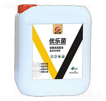 優(yōu)樂(lè)菌-根之道