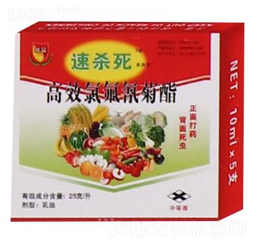 2.5%高效氯氰菊酯-速殺死-恒綠植物