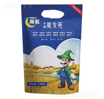 魔法蔸(水稻)-魔粒肥業(yè)