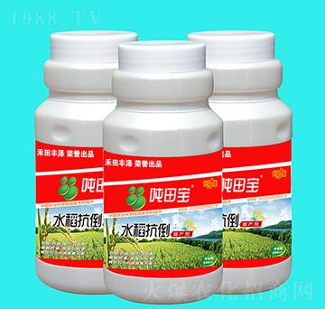 水稻抗倒增產(chǎn)劑-噸田寶-禾田豐澤
