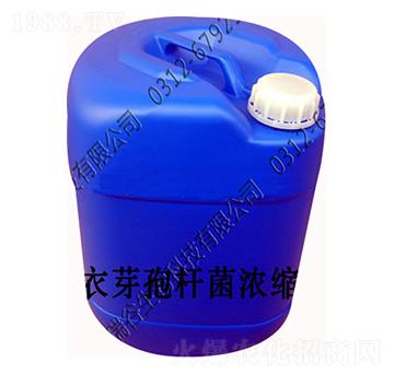 地衣芽孢桿菌濃縮液-瑞谷生物