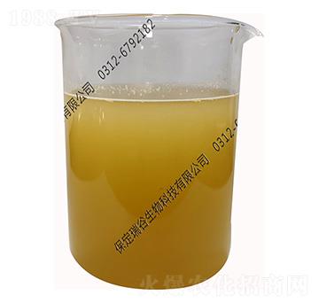 水溶性枯草芽孢桿菌-瑞谷生物