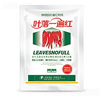 葉落一遍紅-中?？萍? />
                                </div>
                            </div>
                            
                            <style type=