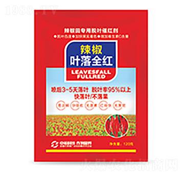 辣椒葉落全紅-中?？萍? />
                                </div>
                            </div>
                            
                            <style type=