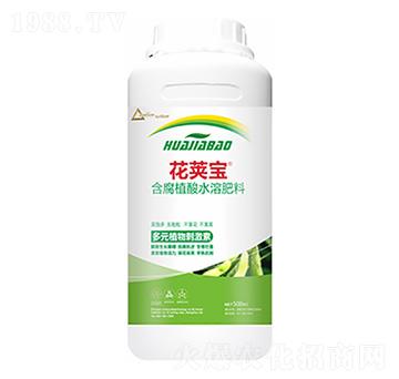 �󶹻�Ӣ��-�����Ƽ�