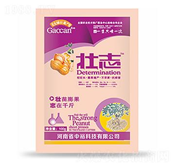 ��־-�����Ƽ�