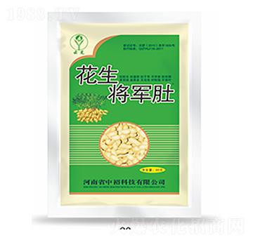 ������܊��-�����Ƽ�