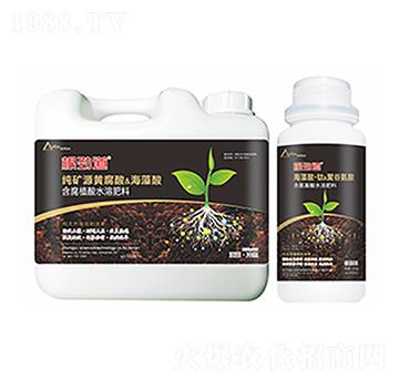 ���ŵ�-�����Ƽ�