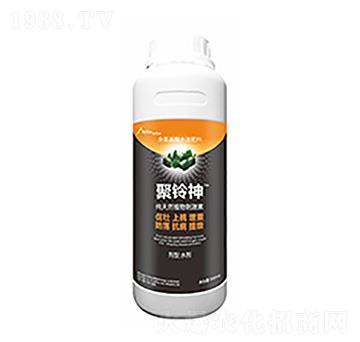 �����-�����Ƽ�