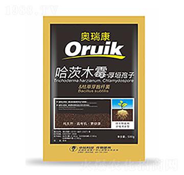 �W��-�����Ƽ�