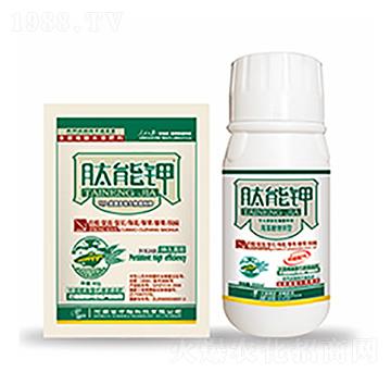 �����-�����Ƽ�