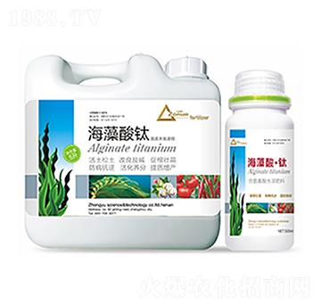 �������-�����Ƽ�