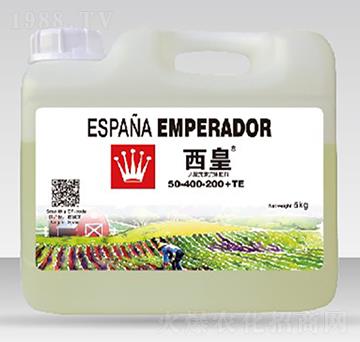 ����Ԫ�����w��50-400-200-����-����˹�D