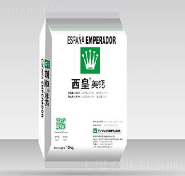 �������}-����˹�D