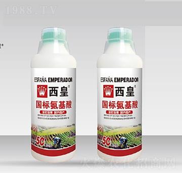 ��(gu��)��(bi��o)������-����-����˹�D