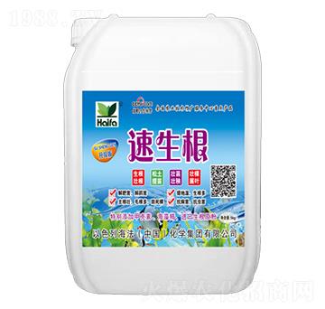 速生根-海法