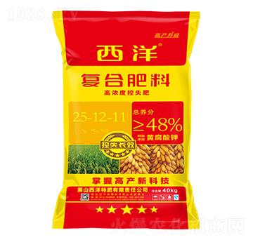 ��(f��)�Ϸ���25-12-11-����ʘI(y��)