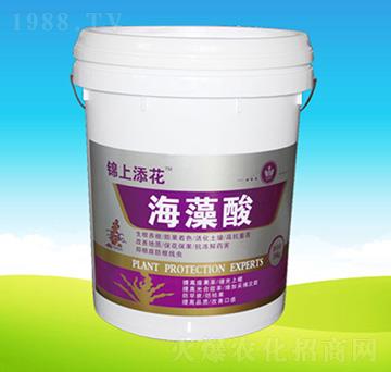 ������-�n��ʘI(y��)