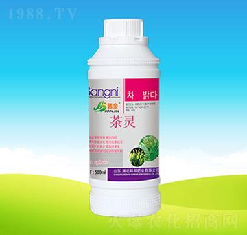 ���`-�n��ʘI(y��)