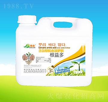 �����-�n��ʘI(y��)