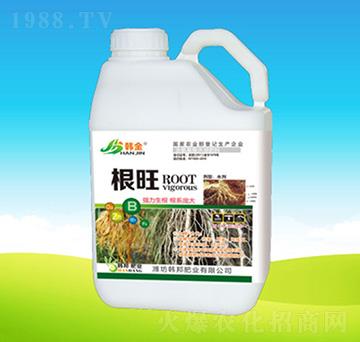 ����-�n��ʘI(y��)