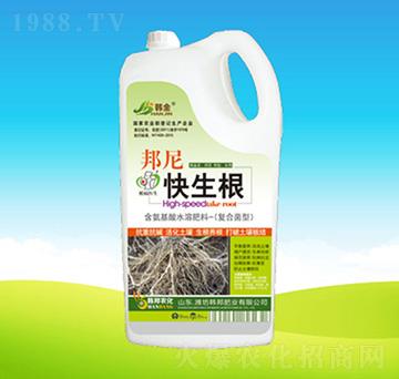 ������-�n��ʘI(y��)