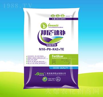 �������N10-P8-K42+TE-���ᡤ���a-�n��ʘI(y��)