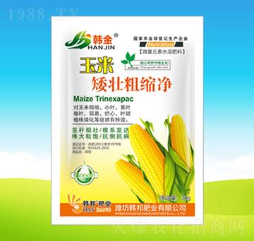 ���װ��Ѵֿs��-�n��ʘI(y��)