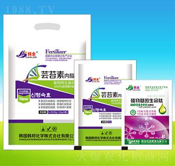 �|̦�؃�(n��i)֬+ֲ�����������-�n��ʘI(y��)