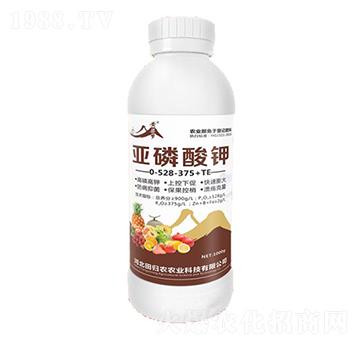 �������0-528-375+TE-�S����(m��ng)-�����r(n��ng)�I(y��)