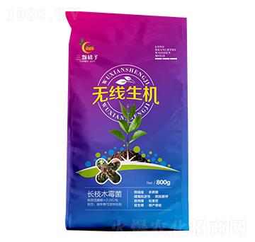 無(wú)線生機(jī)-三顆橘子