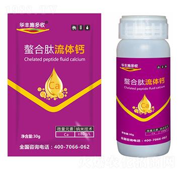 ���������w�}-�A�Sʩ���S-�滯���h