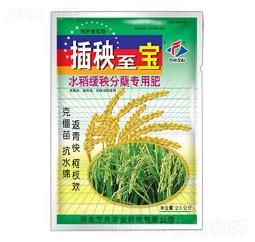 水稻緩秧分蘗專用肥-插秧至寶-方舟農業(yè)