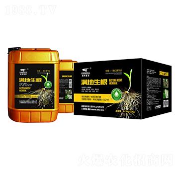 落地生根-聯(lián)邦嘉吉