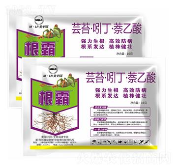 �|̦���Ŷ���������-����-�滯���h(yu��n)